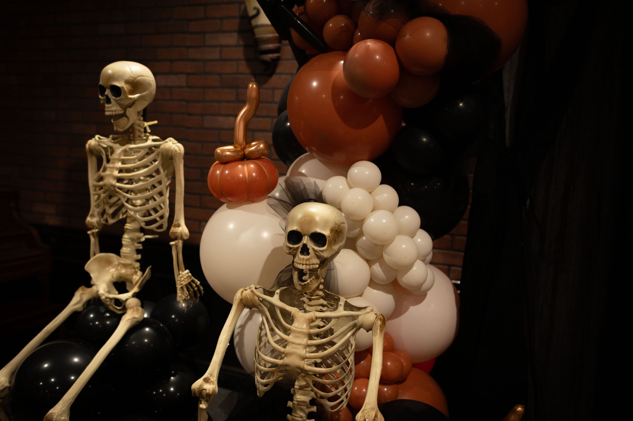 SENS Photography Events Halloween Quiz 005